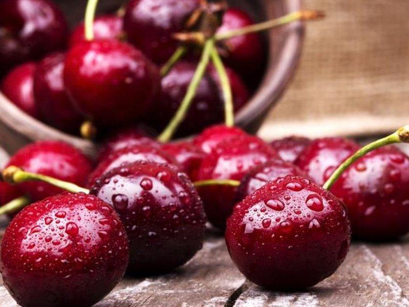 Вишня купить саженцы из питомника в Канске